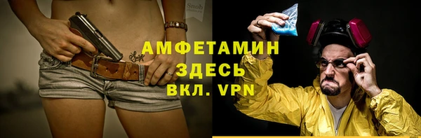 гидра Киреевск